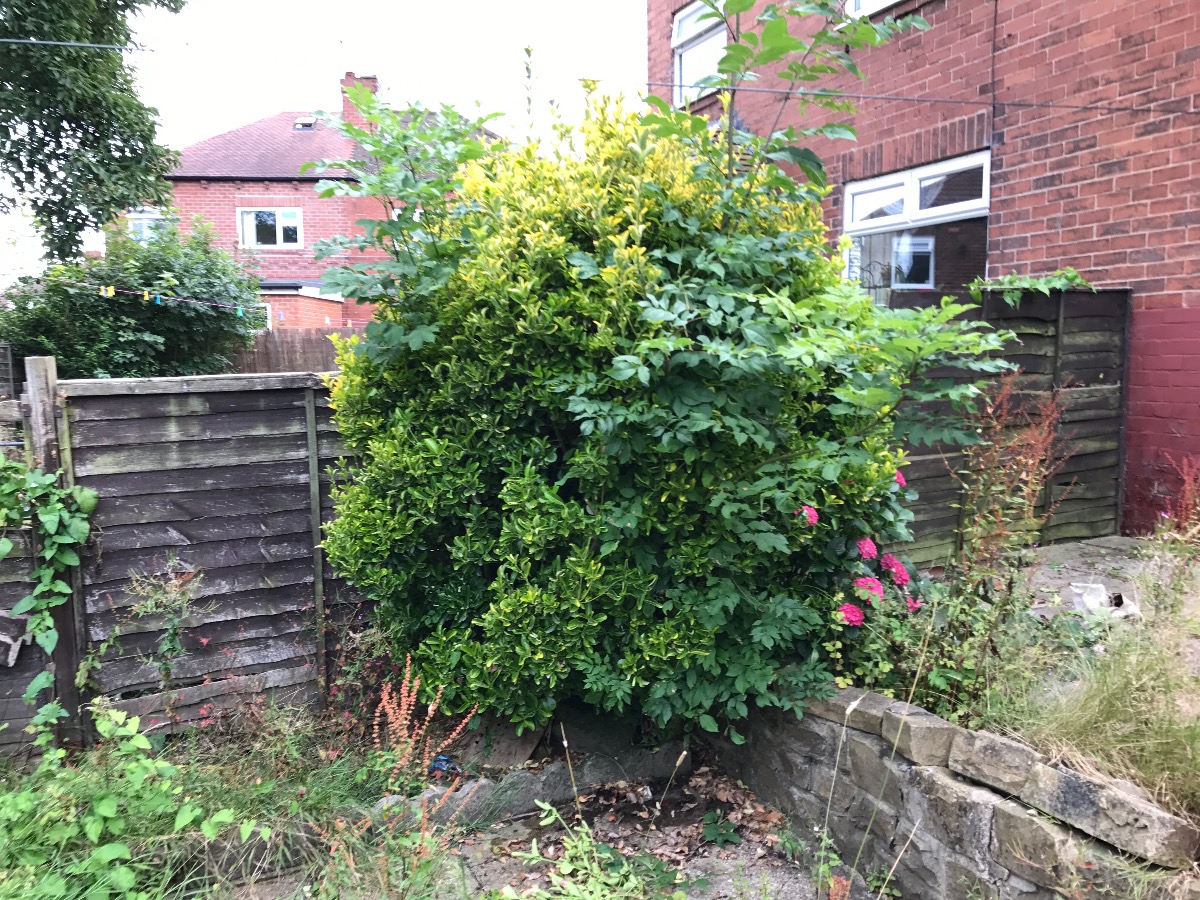 Gardener: Image 2